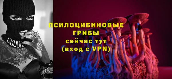 соль курить ск Богородицк