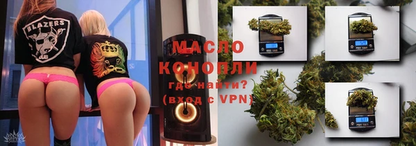 прущий лед Богданович